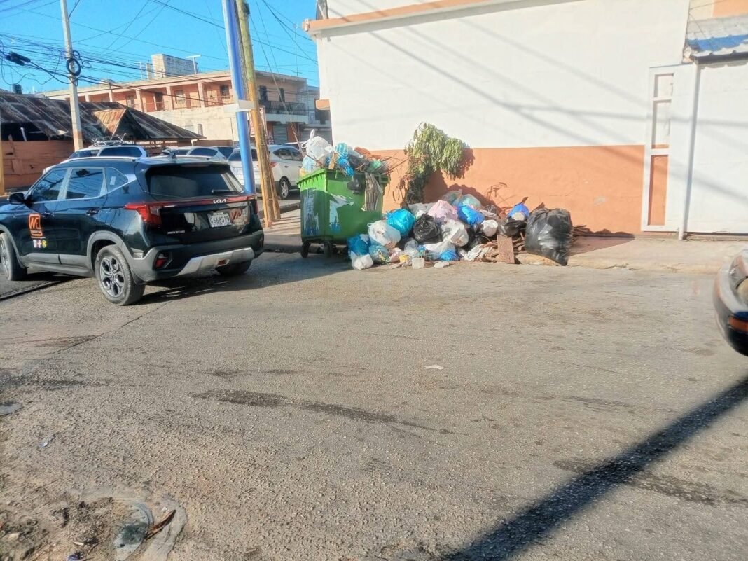 Denuncian basura y contenedor mal ubicado obstruyen acera y parte de la vía en Villa Verde.