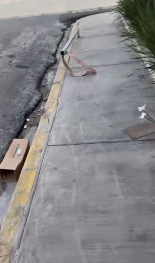 Denuncian letrero de señalización derribado en esquina de Santa Rosa y Teófilo Hernández.