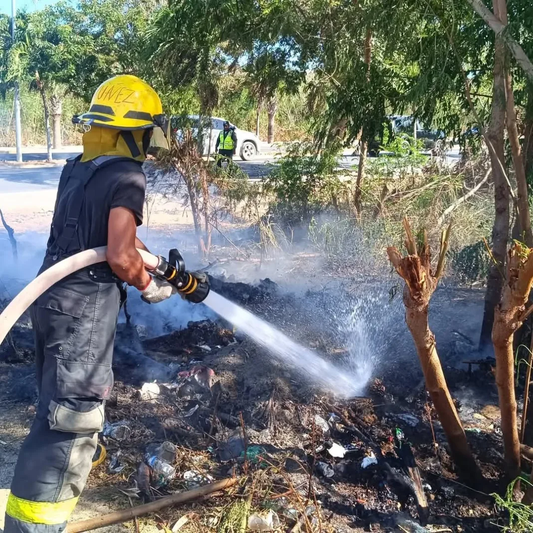 Bomberos sofocan incendio en área verde de la avenida Caamaño Deñó.