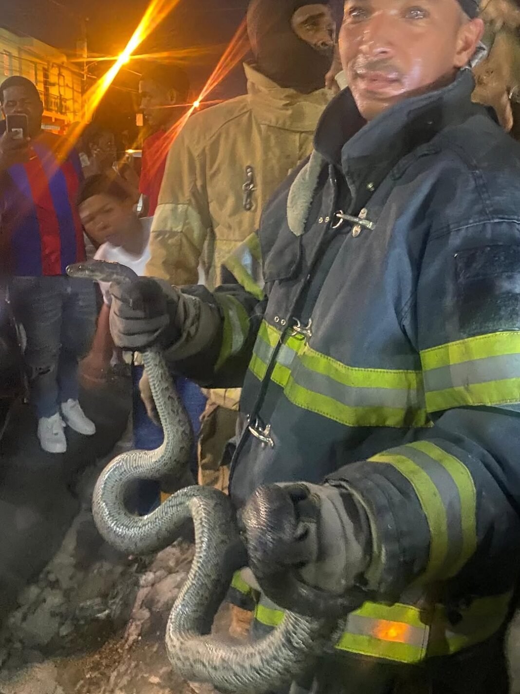 REGIONALES / Capturan culebra en sector Placer Bonito en San Pedro de Macorís.