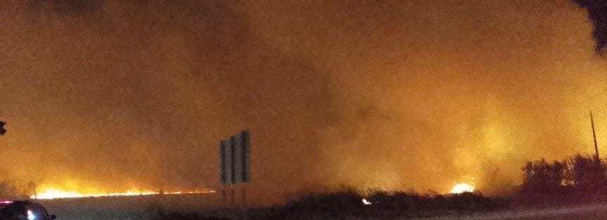 Incendio forestal afecta área de Ramón Santana en San Pedro de Macorís.