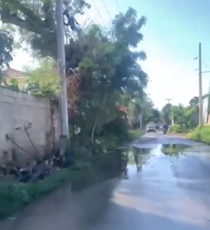 Denuncian séptico desbordado frente a residencial Los Carlos.