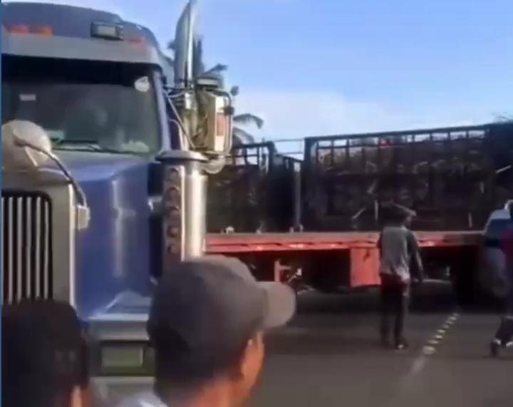 ÚLTIMO MINUTO | Locomotora del Central Romana impacta camión en cruce ferroviario de Puerta 8.