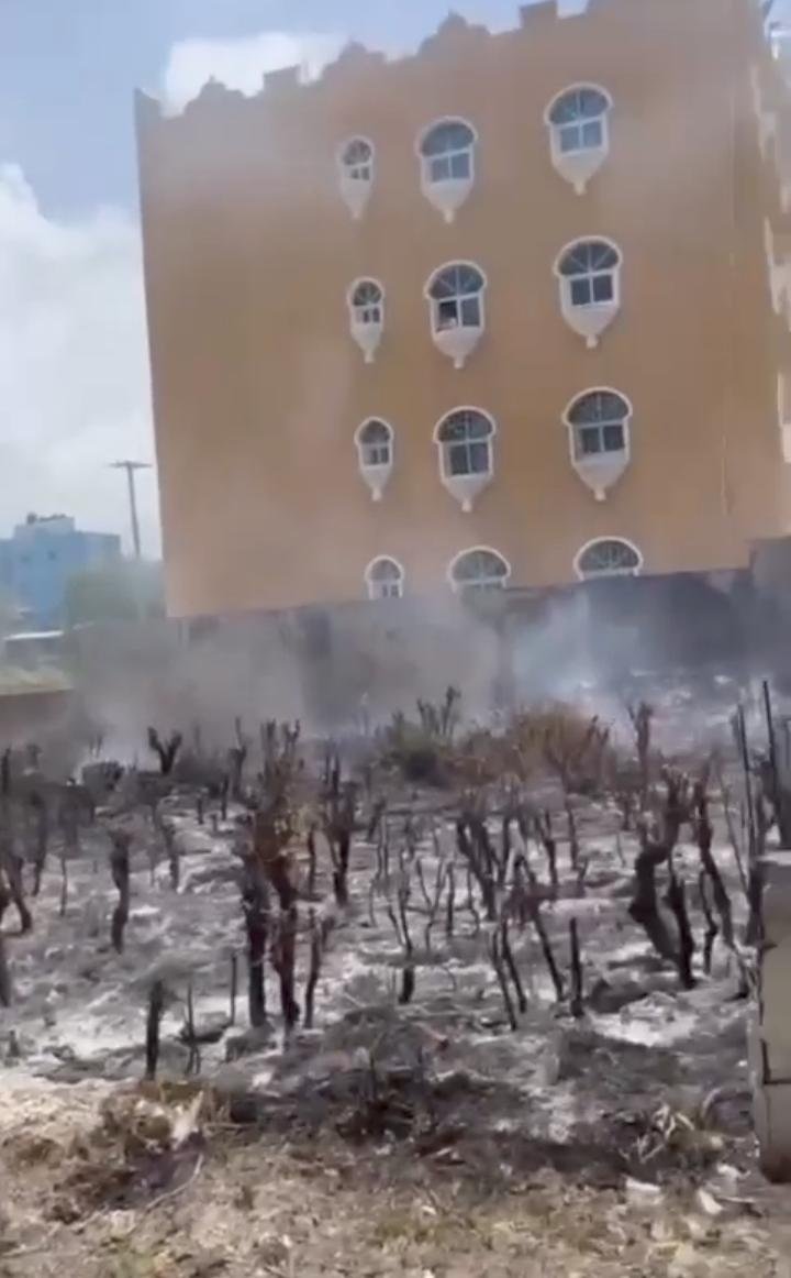 MORADORES DE CALETA DENUNCIAN QUEMA DE ÁRBOLES Y MALEZA QUE AFECTA A LA COMUNIDAD.
