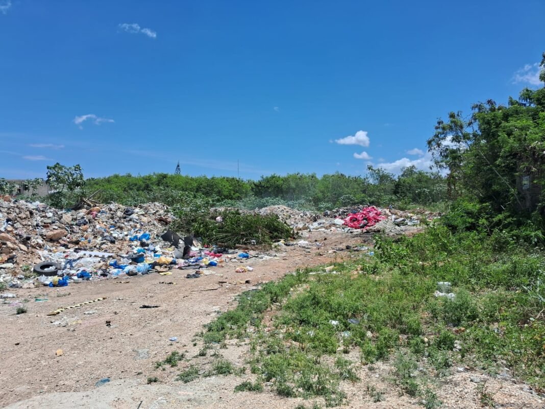 COMUNITARIOS DENUNCIAN VERTEDERO IMPROVISADO Y QUEMA CONSTANTE DE BASURA EN REPARTO TORRES, VILLA HERMOSA.