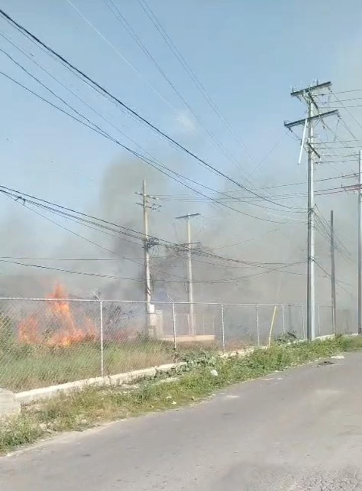 INCENDIO FORESTAL MOVILIZA A LOS BOMBEROS EN VILLA VERDE Y GENERA ALARMA ENTRE RESIDENTES.