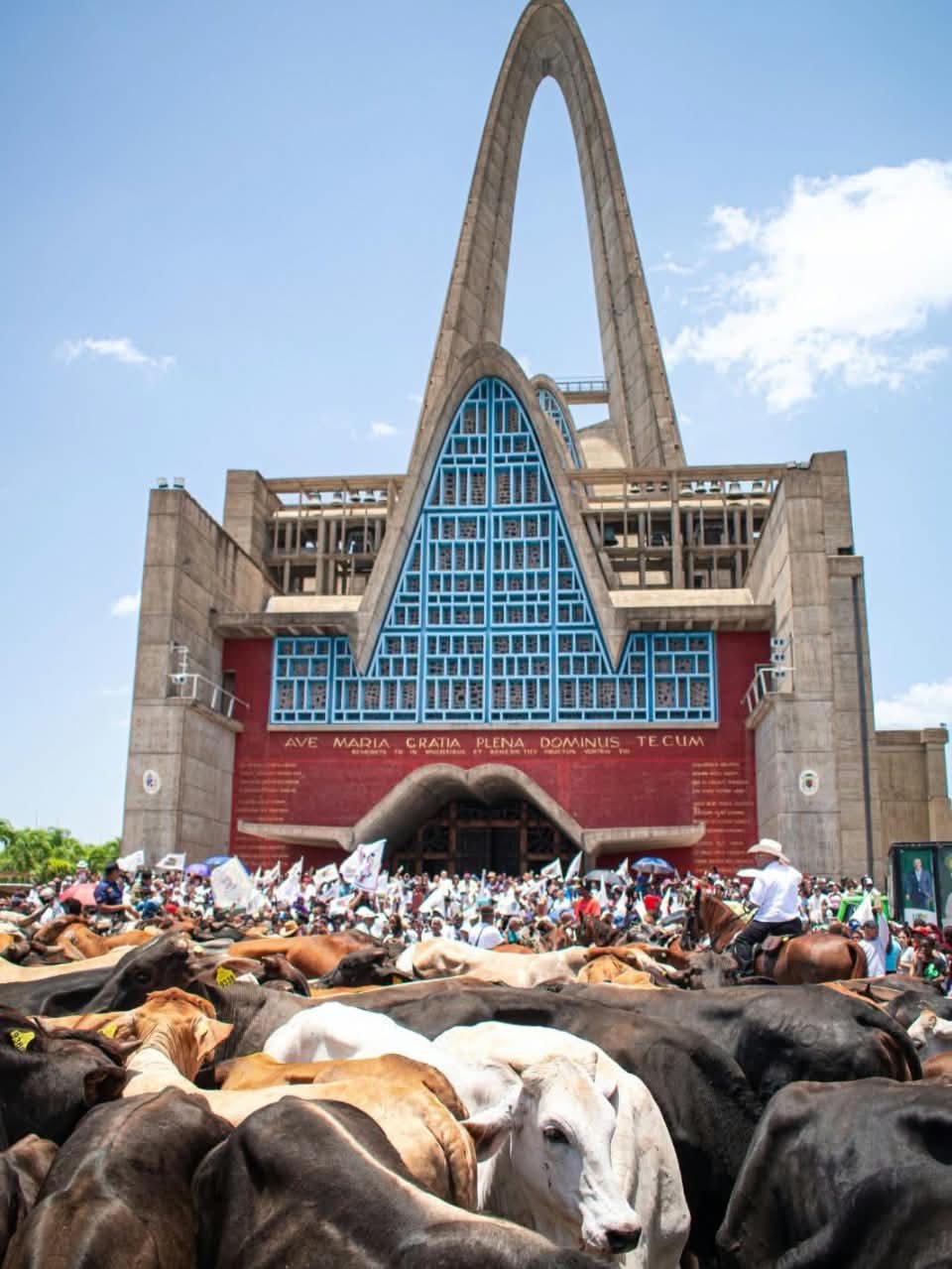 HIGÜEY | FERVOR Y TRADICIÓN: PEREGRINOS Y LOS TOROS DE LA VIRGEN COLMAN LA BASÍLICA.