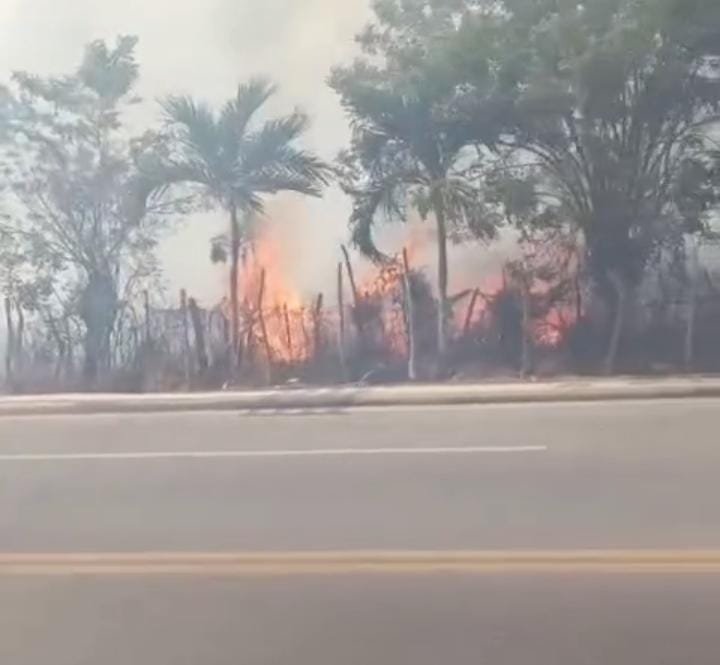 LA ROMANA | BOMBEROS ATIENDEN INCENDIO FORESTAL EN ZONA DEL ANTIGUO MATADERO.